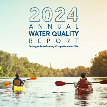 2022 Report